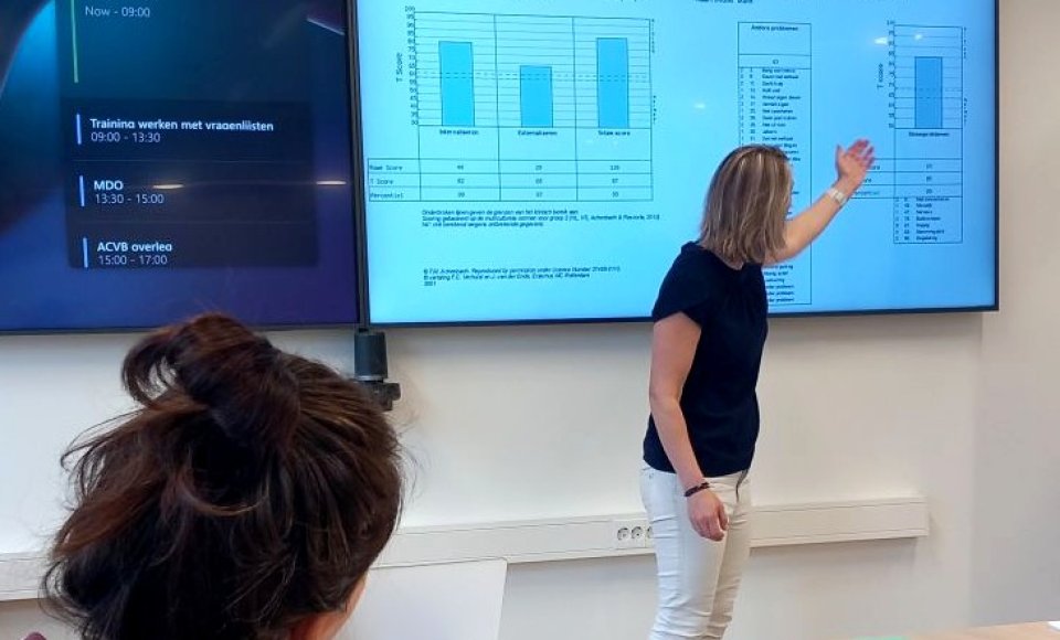 Training Werken met Vragenlijsten